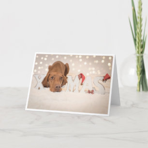 Xmas Kaart / Kerst Kaart "Magyar Vizsla"