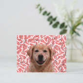 Xmas Lachende Gouden Retriever Hond Feestdagenkaart (Staand voorkant)