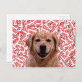 Xmas Lachende Gouden Retriever Hond Feestdagenkaart (Voorkant / Achterkant)