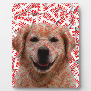 Xmas Lachende Gouden Retriever Hond Fotoplaat