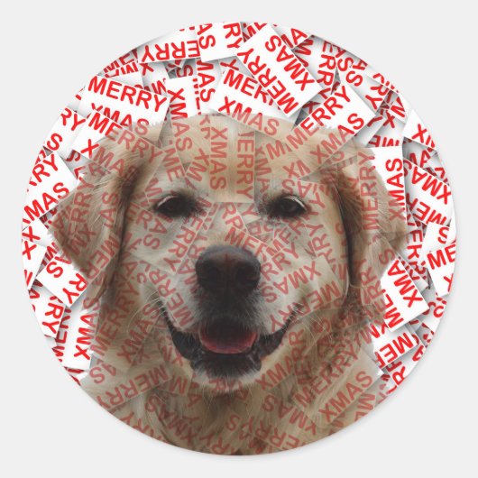 Xmas Lachende Gouden Retriever Hond Ronde Sticker (Voorkant)