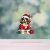 Xmas Lighting Cavalier King Charles Spaniel Dog Ch Acryl Bord (Neutraal)