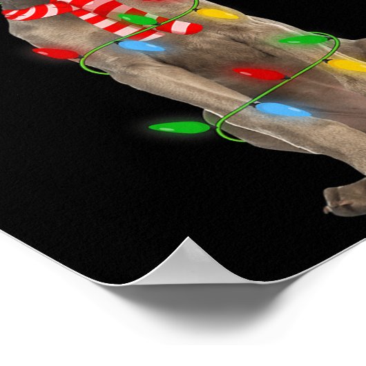 Xmas Lighting Holiday Santa Weimaraner Dog Christm Poster (Hoek)