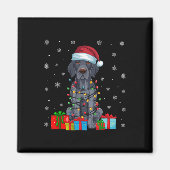 Xmas Lights Santa Duitse Kortharige Pointer Dog C Magneet (Voorkant)