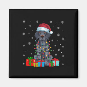 Xmas Lights Santa Duitse Kortharige Pointer Dog C Magneet