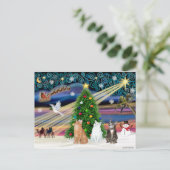 Xmas Magic - 3 katten (2 tabbys - wit) Feestdagenkaart (Staand voorkant)