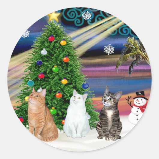 Xmas Magic - 3 katten (2 tabbys - wit) Ronde Sticker (Voorkant)