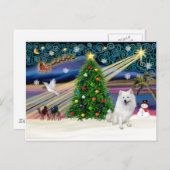 Xmas Magic-American Eskimo Dog Feestdagenkaart (Voorkant / Achterkant)