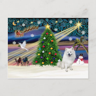 Xmas Magic-American Eskimo Dog Feestdagenkaart