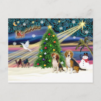 Xmas Magic Beagle Paar Feestdagenkaart