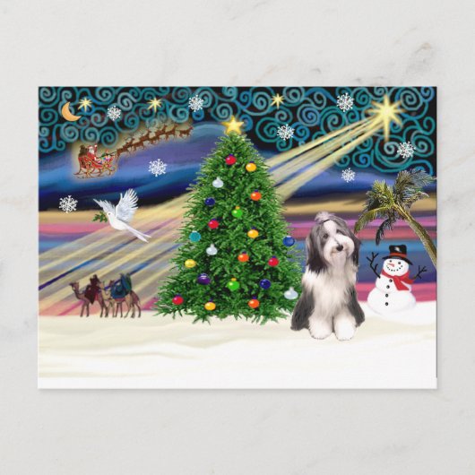 Xmas Magic Beardie4 Feestdagenkaart (Voorkant)