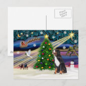 Xmas Magic-Bernese Mountain Dog Feestdagenkaart (Voorkant / Achterkant)