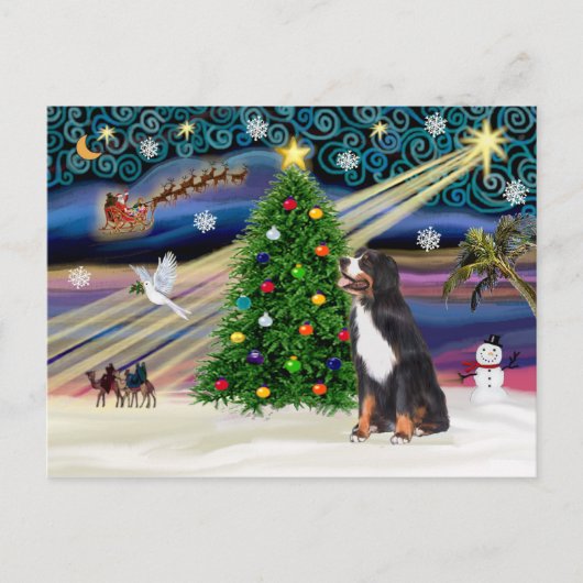 Xmas Magic-Bernese Mountain Dog Feestdagenkaart (Voorkant)