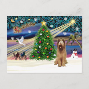 Xmas Magic Briard Fawn Feestdagenkaart