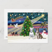 Xmas Magic Bull Terrier Paar Feestdagenkaart (Voorkant / Achterkant)