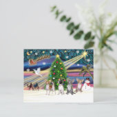 Xmas Magic-Chihuahua's (vier) Feestdagenkaart (Staand voorkant)