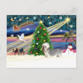 Xmas Magic-Dandi Dinmont grijs Feestdagenkaart (Voorkant)