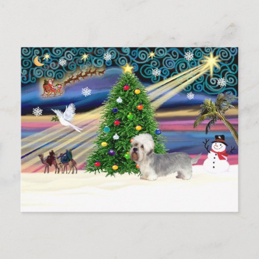 Xmas Magic-Dandi Dinmont grijs Feestdagenkaart (Voorkant)