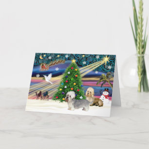 Xmas Magic-Dandie Dinmont Pair Feestdagen Kaart