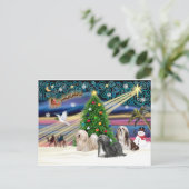 Xmas Magic-Lhasa Apso-Trio Feestdagenkaart (Staand voorkant)