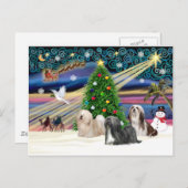 Xmas Magic-Lhasa Apso-Trio Feestdagenkaart (Voorkant / Achterkant)