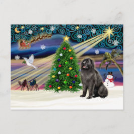 Xmas Magic Newfie-blkast Feestdagenkaart