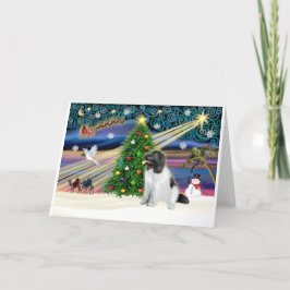 Xmas Magic-Newfie-Landseersit Feestdagen Kaart