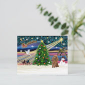Xmas Magic-Poodle-Speelgoed-Abrikozen Feestdagenkaart (Staand voorkant)