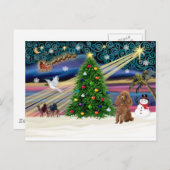 Xmas Magic-Poodle-Speelgoed-Abrikozen Feestdagenkaart (Voorkant / Achterkant)