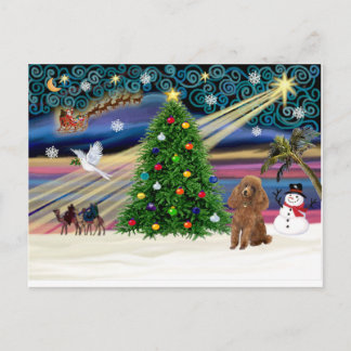 Xmas Magic-Poodle-Speelgoed-Abrikozen Feestdagenkaart