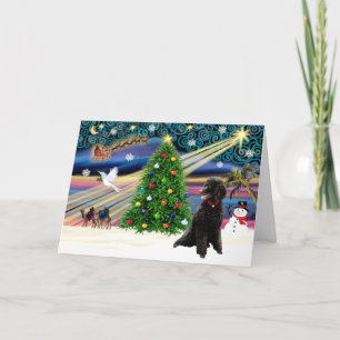 Xmas Magic-Poodle-Std-zwart Feestdagen Kaart