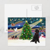 Xmas Magic-Poodle-Std-zwart Feestdagenkaart (Voorkant / Achterkant)