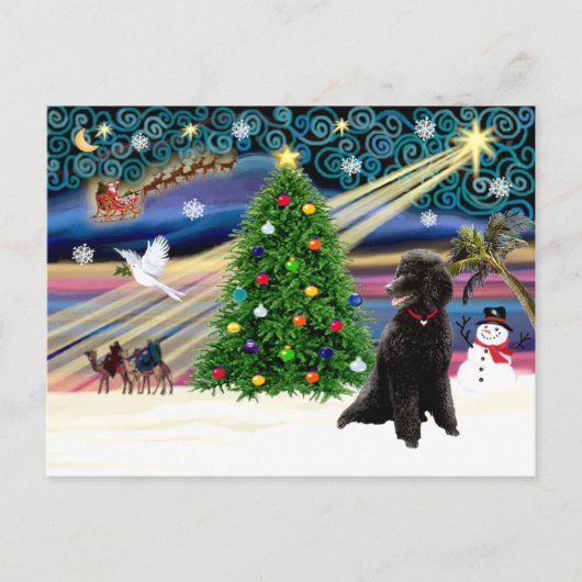 Xmas Magic-Poodle-Std-zwart Feestdagenkaart (Voorkant)