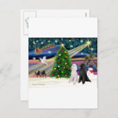 XMAS MAGIC-pool ST-Pair2 Feestdagenkaart (Voorkant / Achterkant)