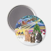 Xmas Magic (R) - Drie katten (AmSH) Magneet (Voorkant / Achterkant)