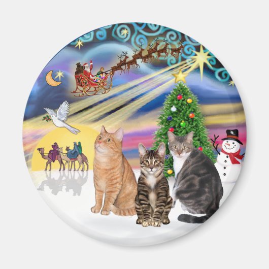 Xmas Magic (R) - Drie katten (AmSH) Magneet (Voorkant)