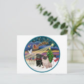 Xmas Magic (R) - Twee Pugs (F + B) Feestdagenkaart (Staand voorkant)
