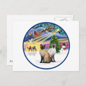 Xmas Magic (R) - Twee Siamese katten Feestdagenkaart (Voorkant / Achterkant)