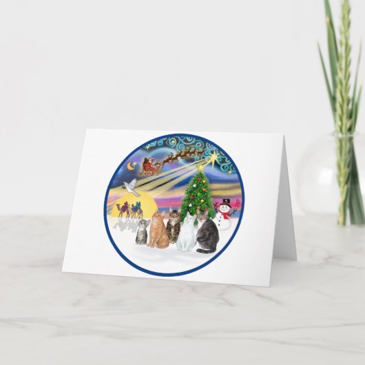 Xmas Magic (R) - Vijf katten (AmSH) Feestdagen Kaart (Voorkant)