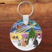 Xmas Magic (R) - Vijf katten (AmSH) Sleutelhanger (Voorkant)