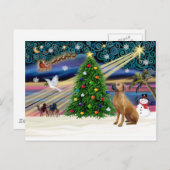 Xmas Magic-Rhodesian Ridgeback-up Feestdagenkaart (Voorkant / Achterkant)
