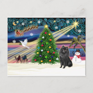 Xmas Magic-Schipperke Feestdagenkaart