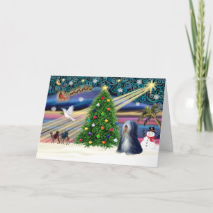 Xmas Magic-Tibetan Terrier (BW) Feestdagen Kaart