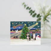 Xmas Magic-Tri-AussieShepPAIR-6-7 Feestdagenkaart (Staand voorkant)