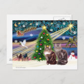 Xmas Magic - Twee Maine Coon katten Feestdagenkaart (Voorkant / Achterkant)