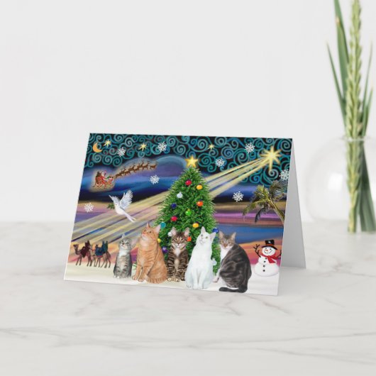 Xmas Magic - Vijf katten (AmSH) Feestdagen Kaart (Voorkant)