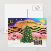 Xmas Music 2 - Twee Tabby katten Feestdagenkaart (Voorkant / Achterkant)
