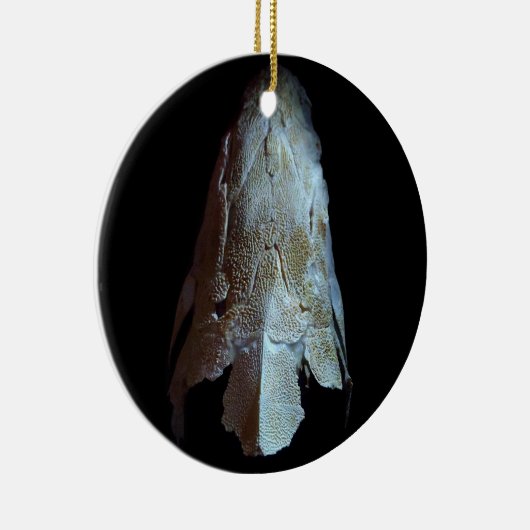 >XMAS ORNAMENT -STURGEON FISH-SKULL/HEAD (Rechts)