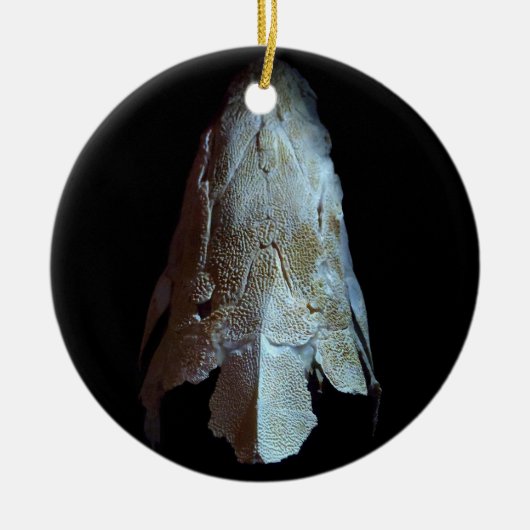 >XMAS ORNAMENT -STURGEON FISH-SKULL/HEAD (Voorkant)