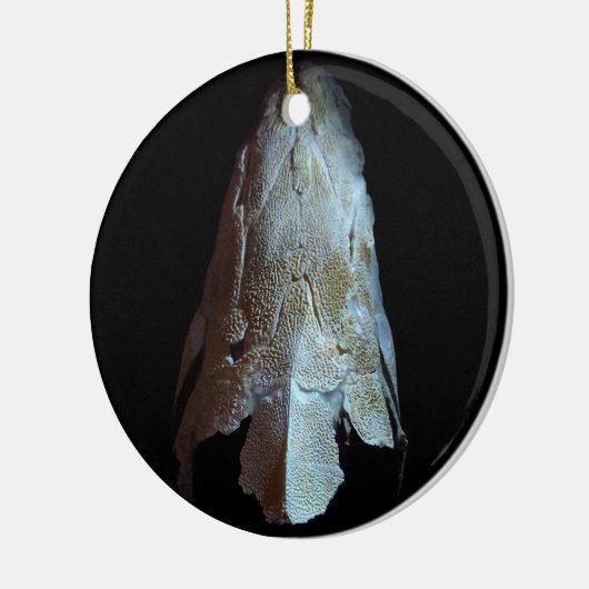 >XMAS ORNAMENT -STURGEON FISH-SKULL/HEAD (Links)